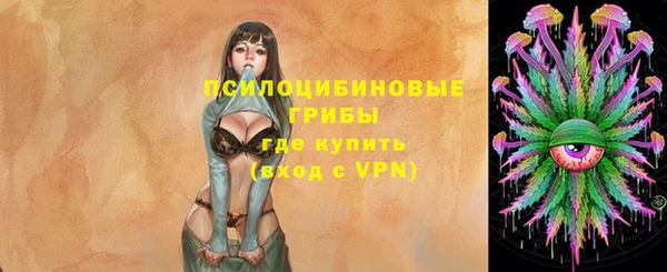 таблы Алзамай