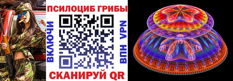 наркота Осинники Псилоцибиновые грибы Psilocybine cubensis